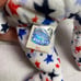 Ty Beanie Babies Glory Bear and Red White & Blue Bear with errors!