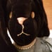 Handmade Black Rabbit W Dress 18.5 Tall