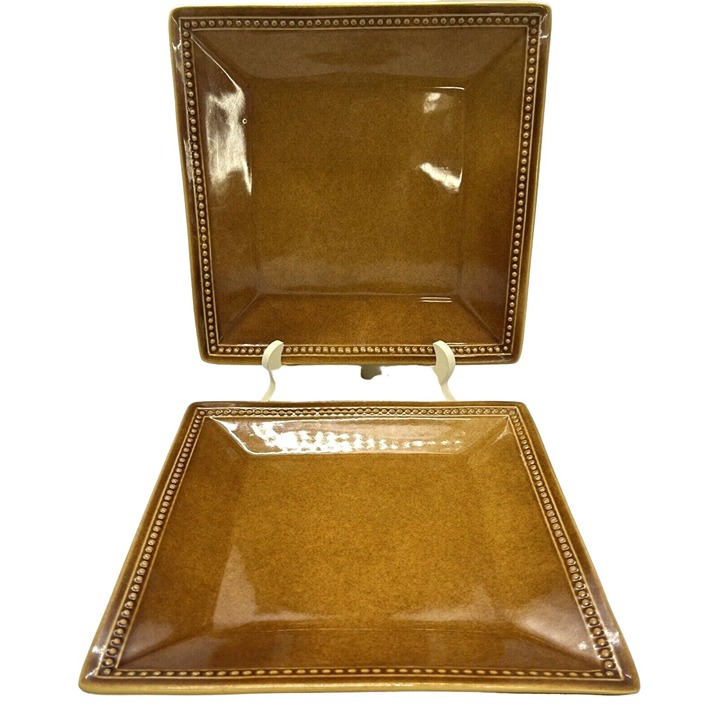 Pier One Imports Spice Route Ginger Plates Square Dinner Plates Set Of Two
