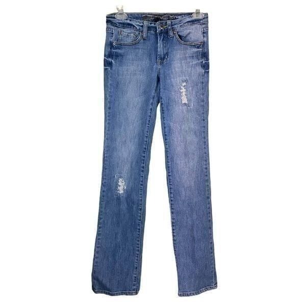 American Eagle Straight Leg Boho Jeans Size 0