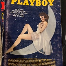 playboy magazine Lot 9