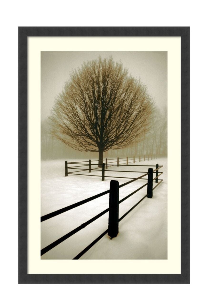 Framed art by David Lorenz Winston