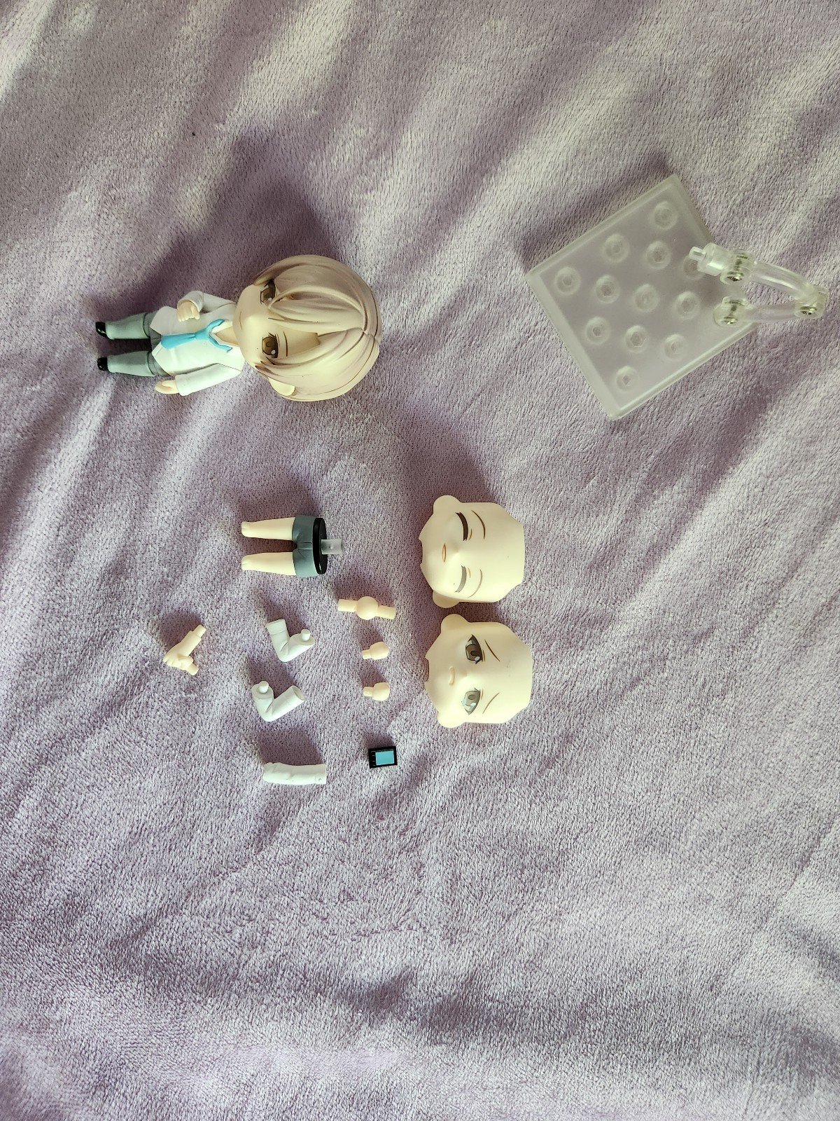 Ten count and Tadaomi shirotani nendroid