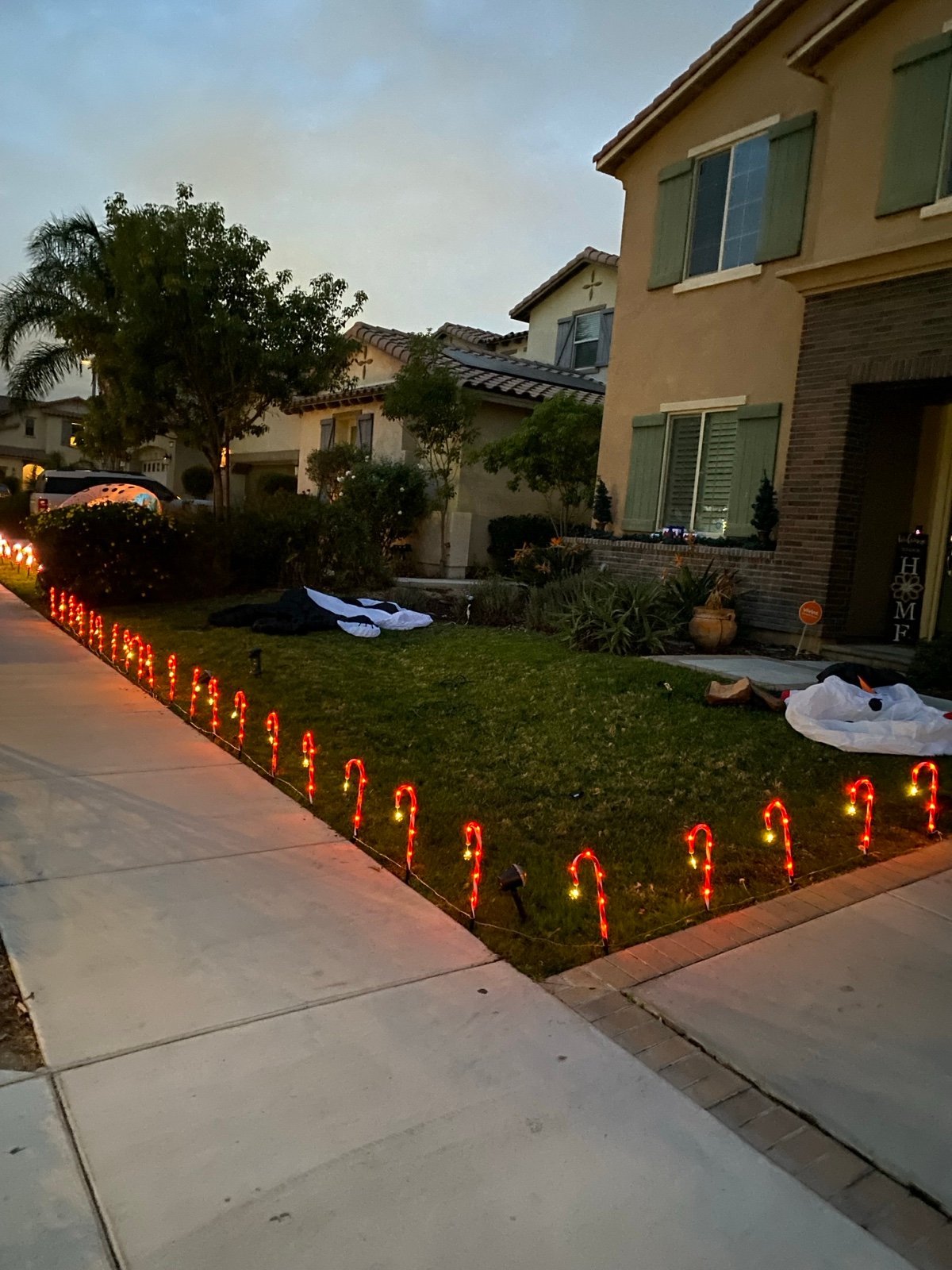Christmas Candy Cane lights Solar lights 40 pieces