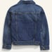 Jean jacket/swim trunks combo