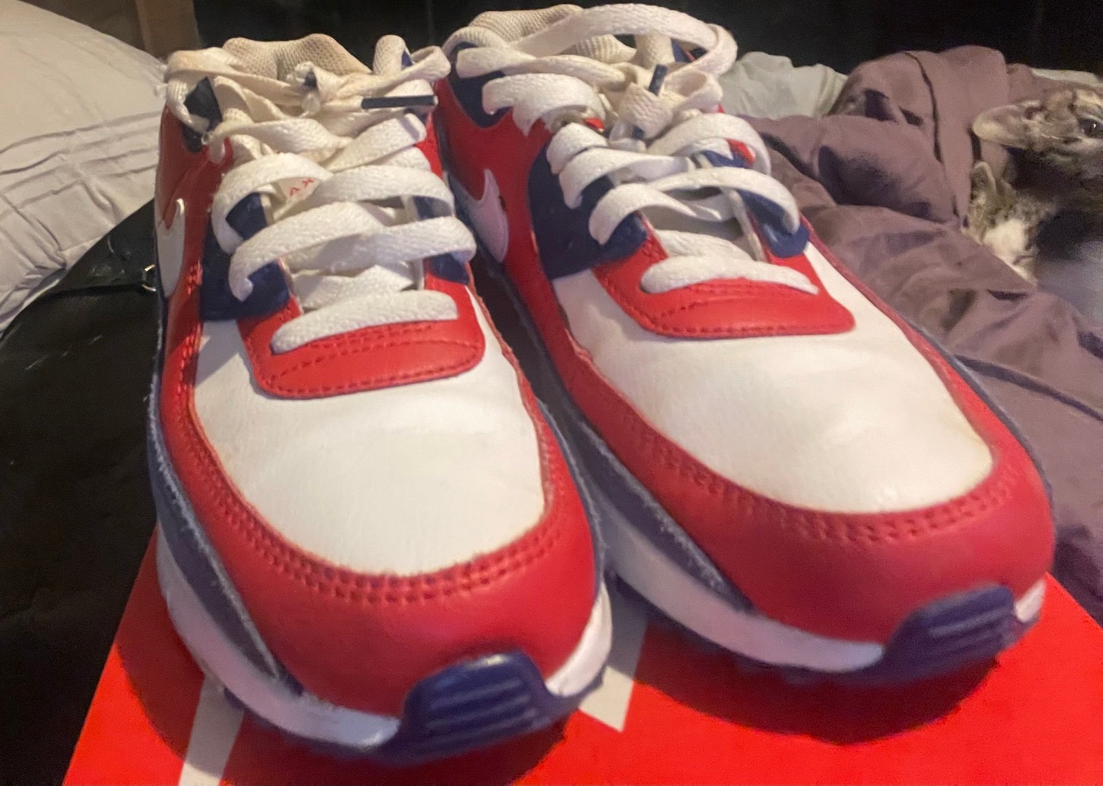 Nike airmax 90