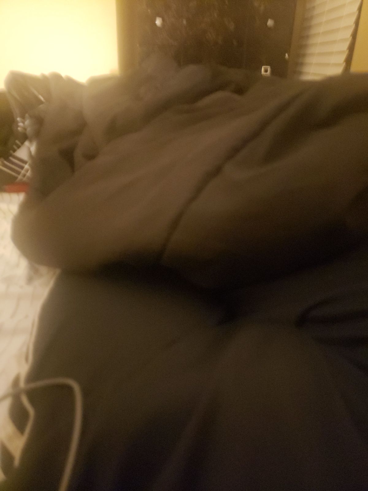 blanket
