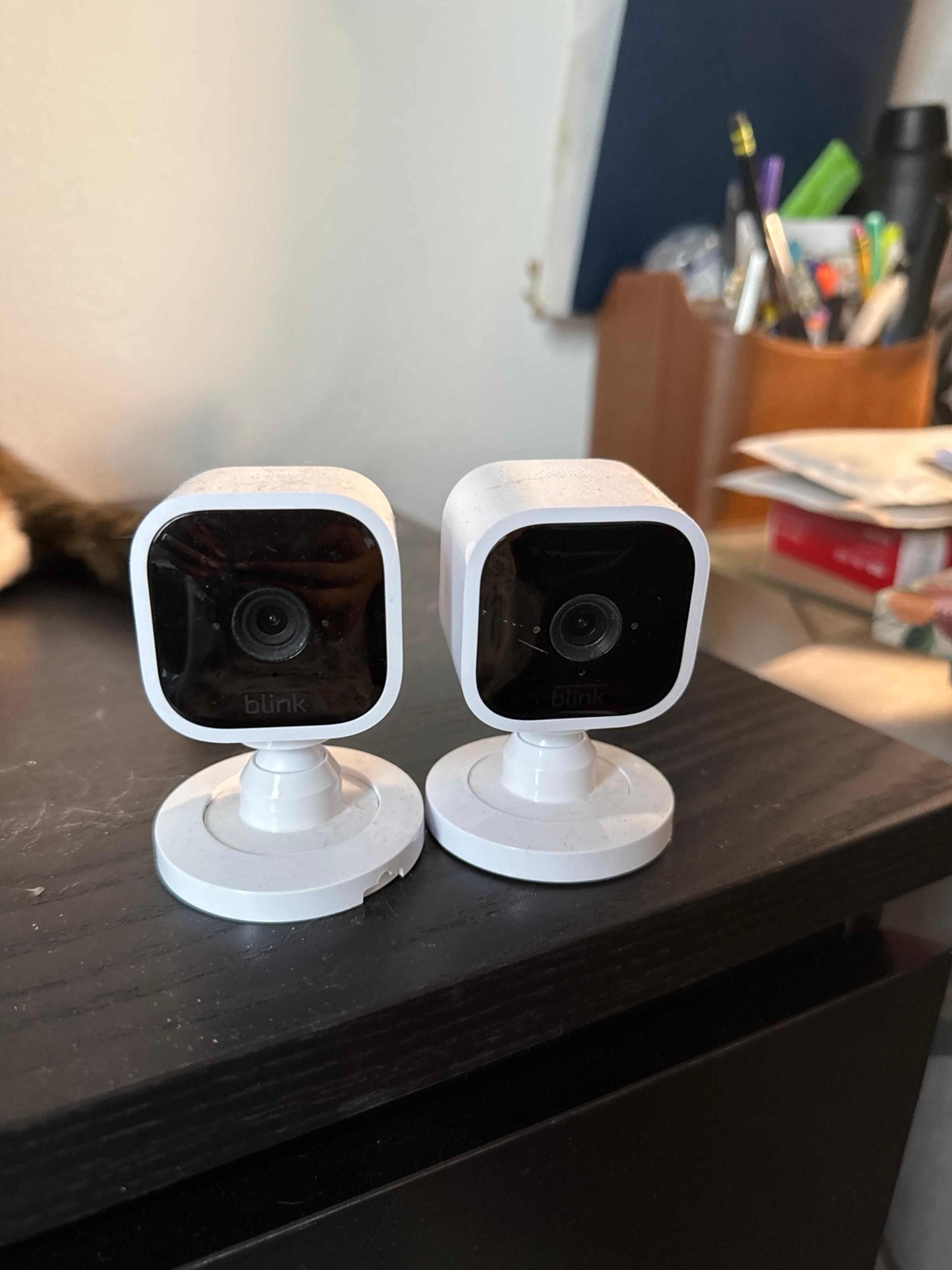 Two Mini Blink Camera
