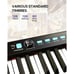 Starfavor 88-Key Portable Electronic Piano w/ Stand, Sustain Pedal & Case NWT