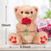 Valentine's Day Bear Stuffed Animal Toy 12 Inches