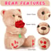 Valentine's Day Bear Stuffed Animal Toy 12 Inches