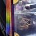 Rainbow High Deluxe Fashion Closet