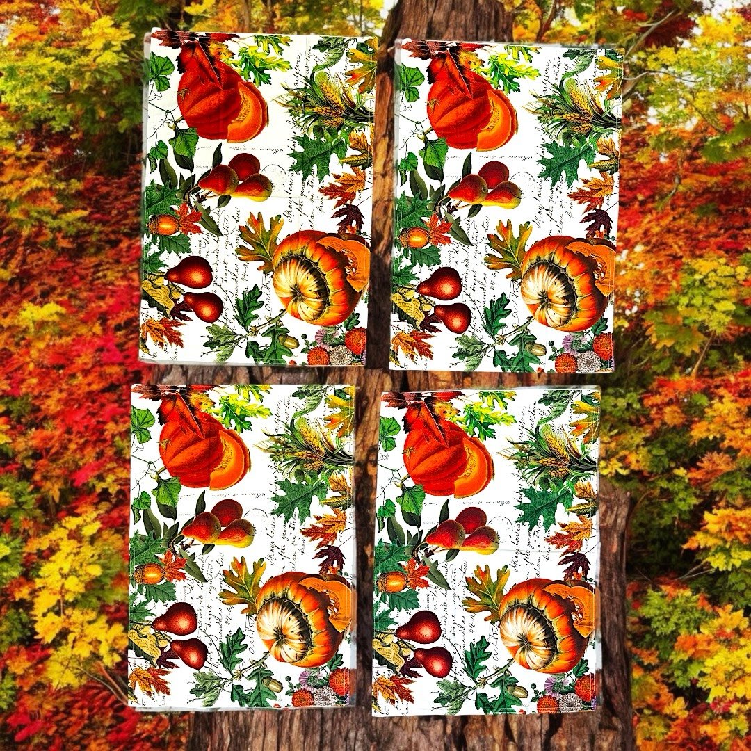 NWOT Michael Design Works SET OF 4 Placemats