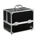 Caboodles 6 Tray Lovestruck Traincase