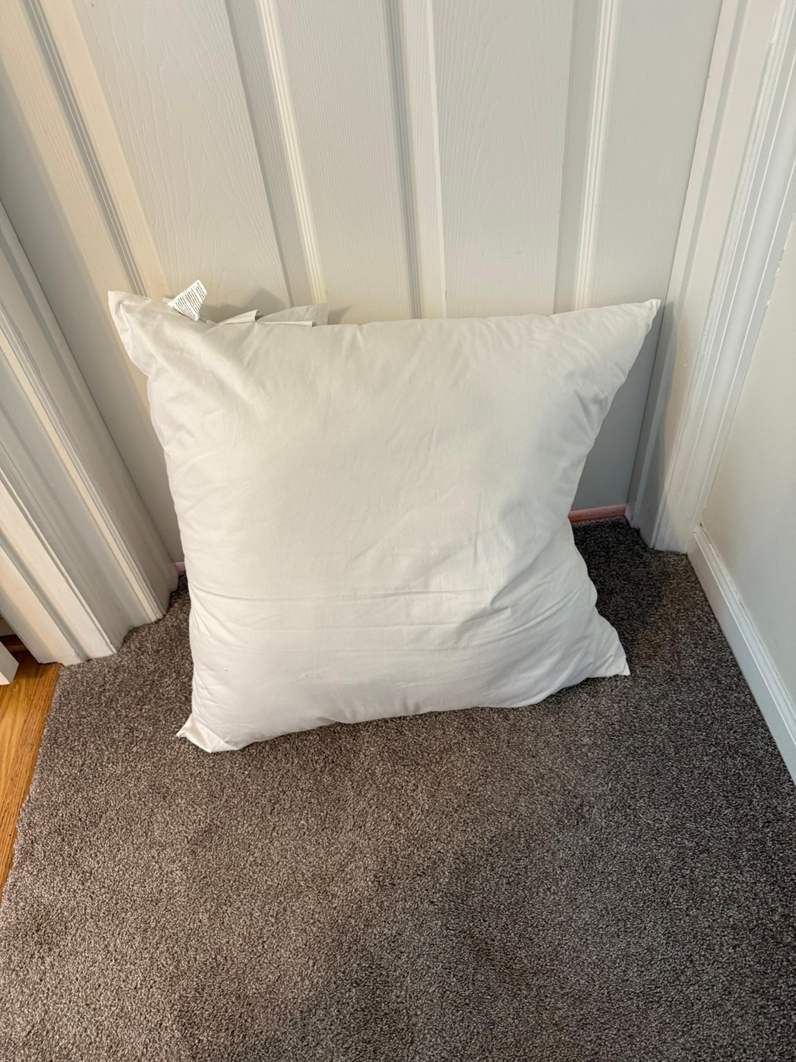 Pottery barn kids euro Pillow