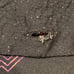 Cactus Man Short Sleeve Button Up City Night Life Neon Sz XL Ricky Singh