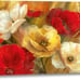 Jardin d Or by Nan Canvas Art Print Gallery Wrapped Artwork Picture Wall Decor