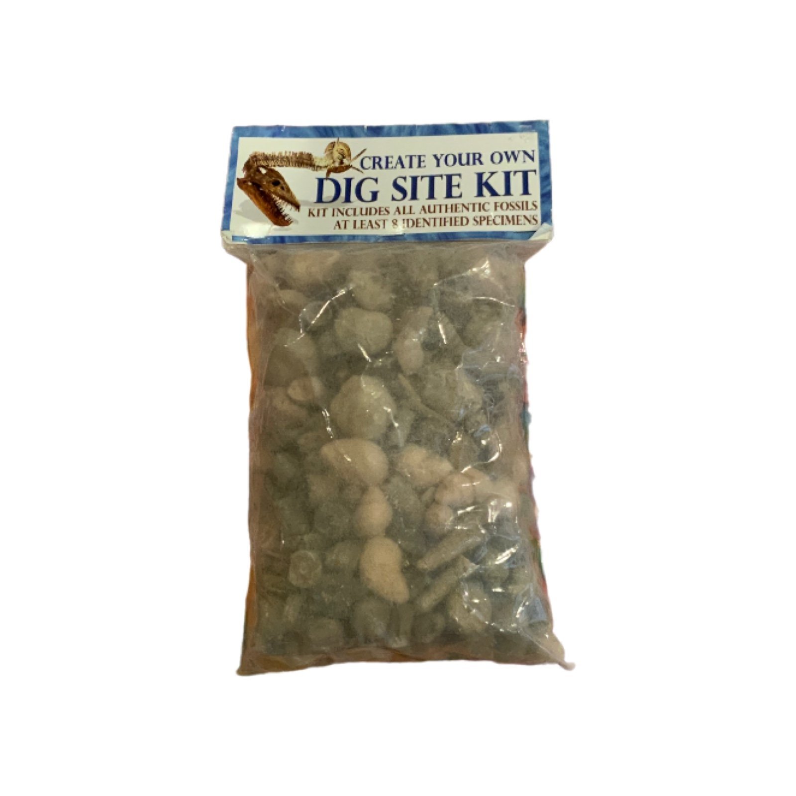 Florida Dinosaur Store Exclusive Create Your Own Dig Site Kit