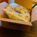 Boppy brandnew
