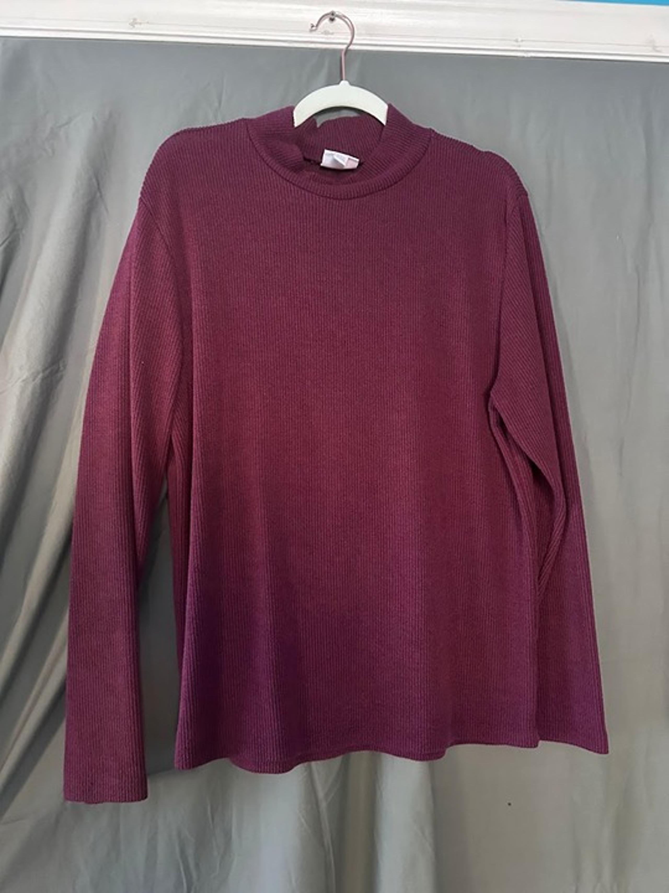 Penelope High Mock Neck Long Sleeve