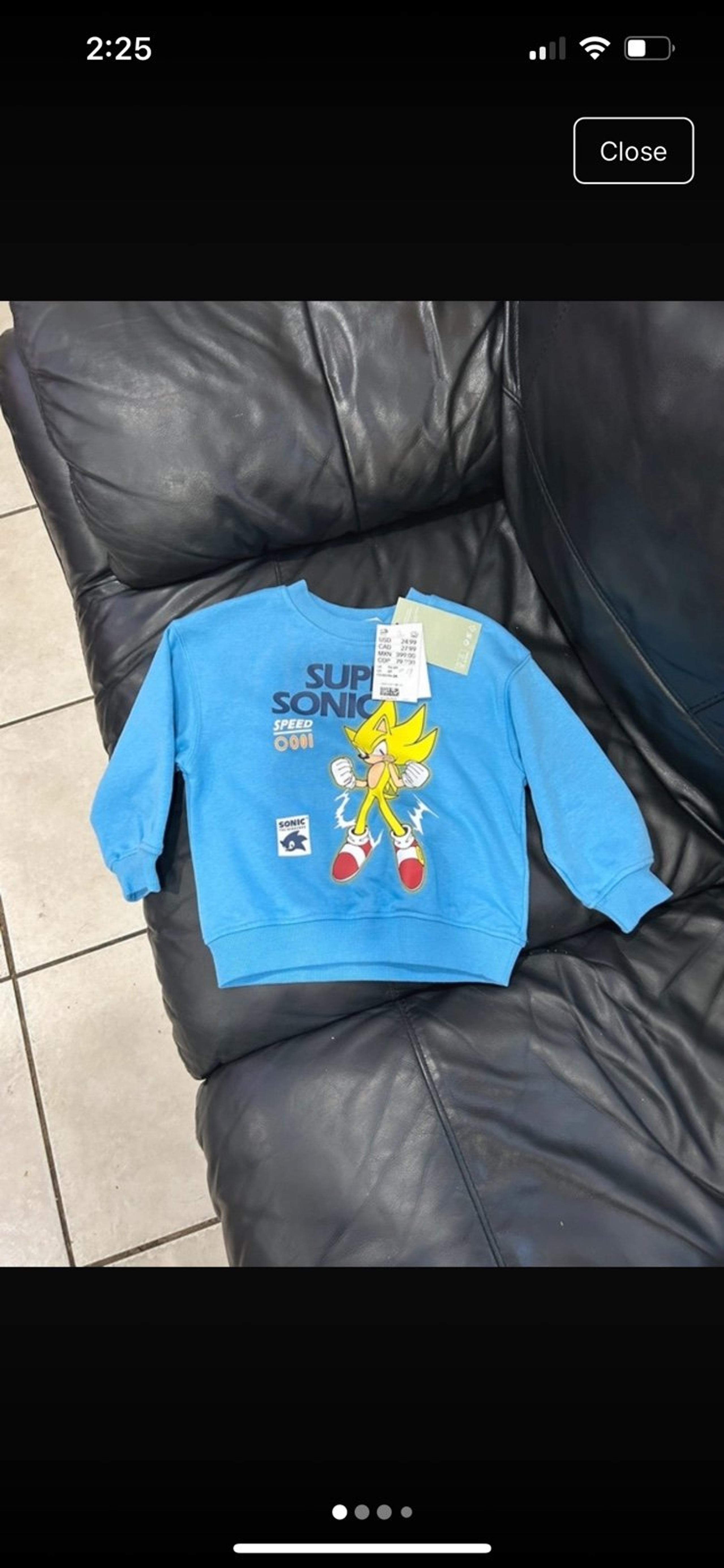 Sonic the Hedgehog