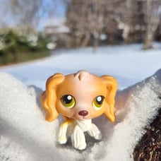 Littlest pet shop dog