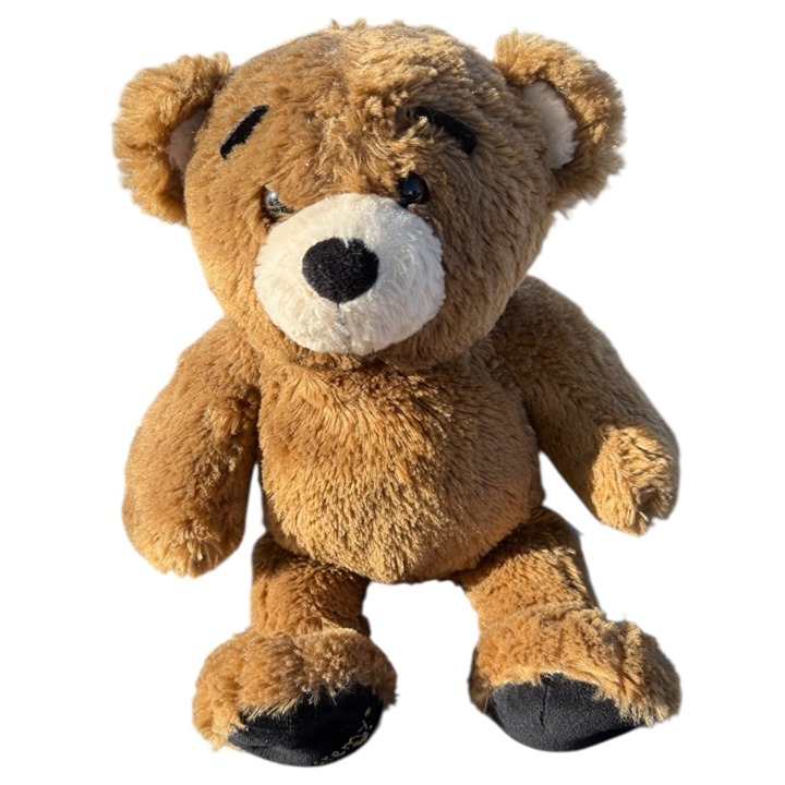 Build A Bear Bearemy Brown Teddy Plush Stuffed Security Support Pal Pet Toy