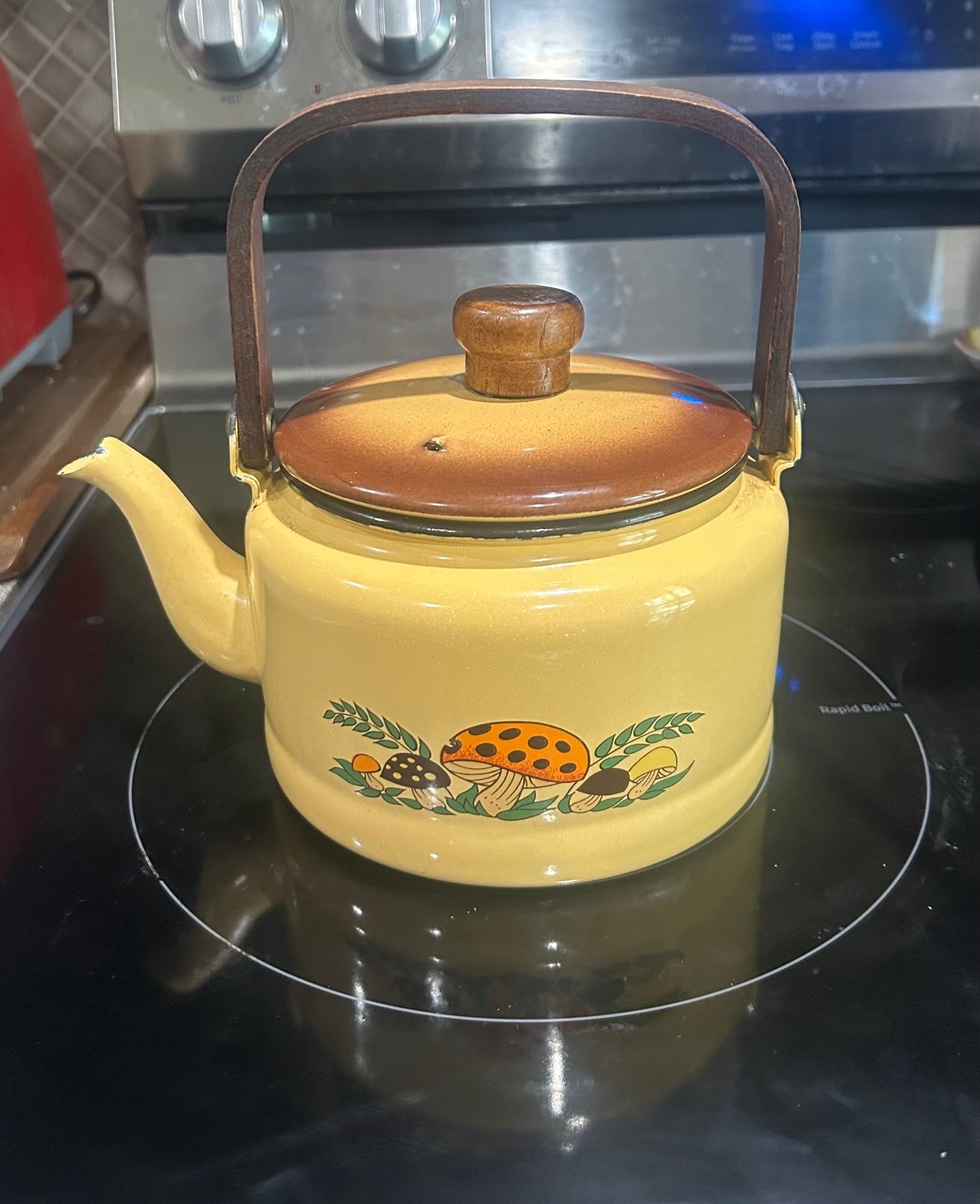Vintage 1970’s Sears Roebuck Merry Mushrooms tea kettle