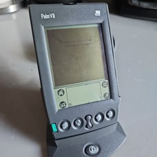 Vintage Palm VII