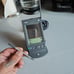 Vintage Palm VII