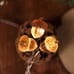 3D Twinkle Acorn Fall Decorations Harvest String Lights 10ft Copper Wire