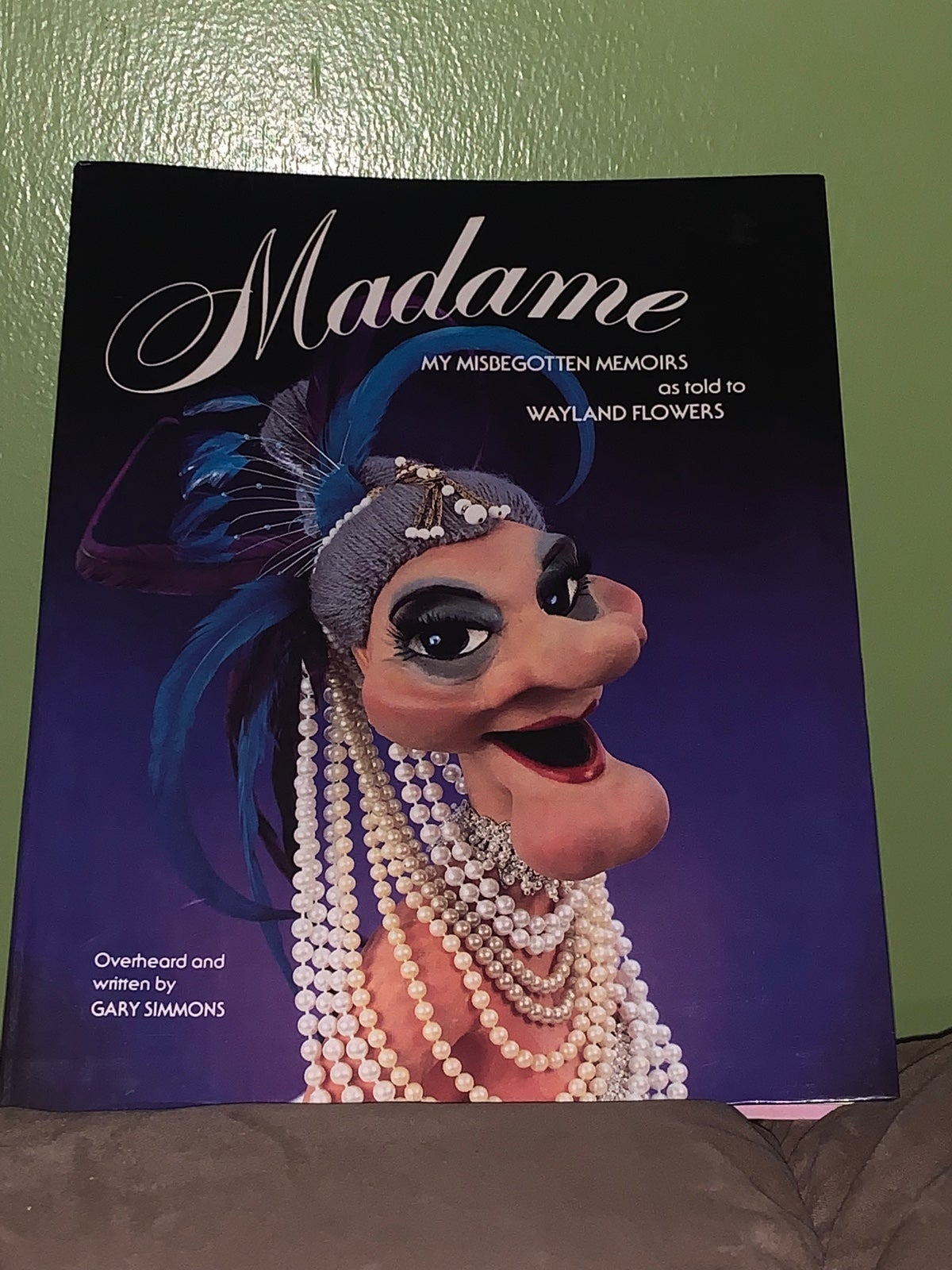 Madame My Misbegotten Memoirs Book