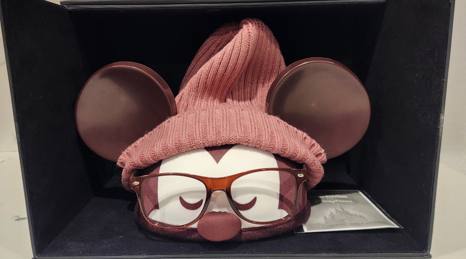Disney Hat Special Edition