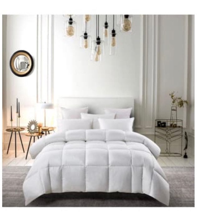 Charther club down comforter