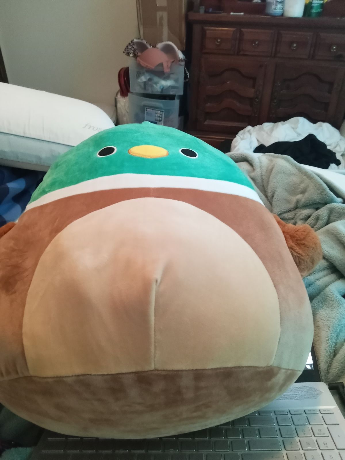 avery squishmallow 16