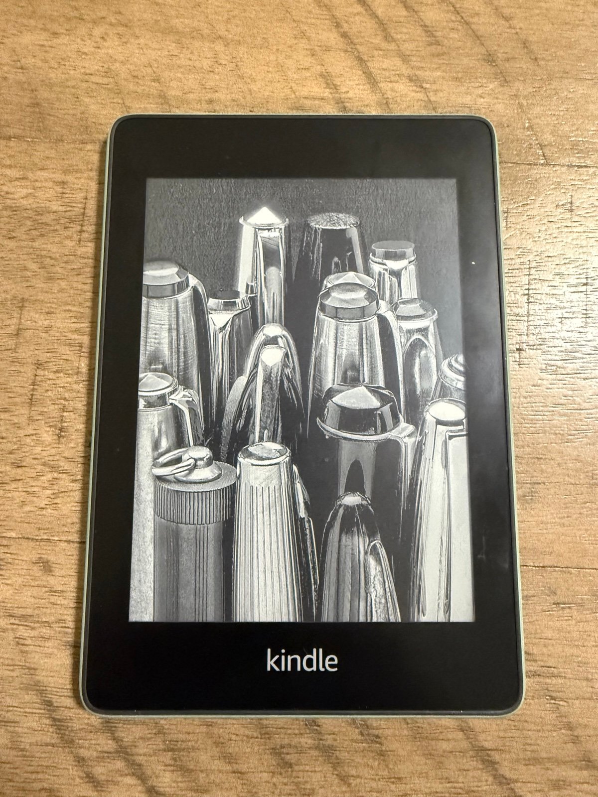 Kindle Paperwhite 10th Generation + Case