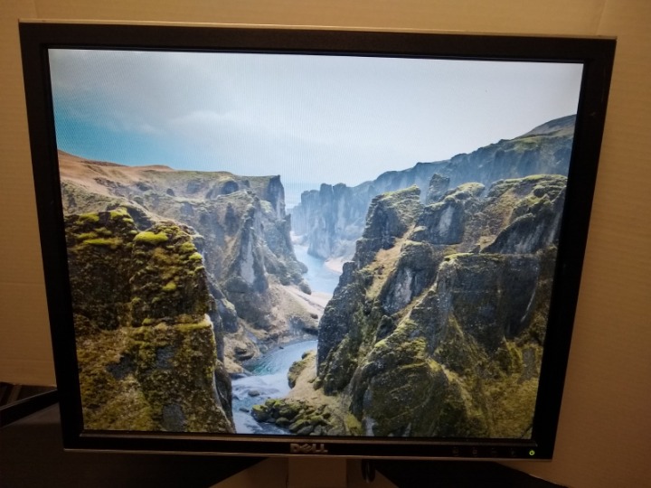 Dell 19 LCD Monitor with USB 2.0 Hub (1907FPc) DVI & VGA