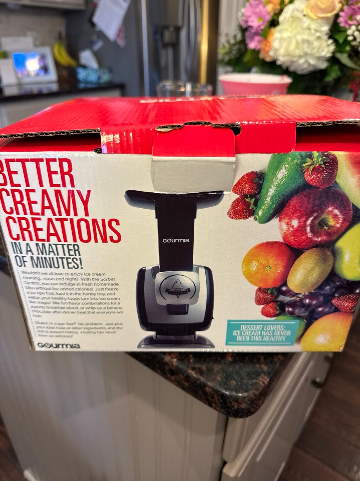 Gourmia GSI180 Automatic Healthy Frozen Dessert Maker,