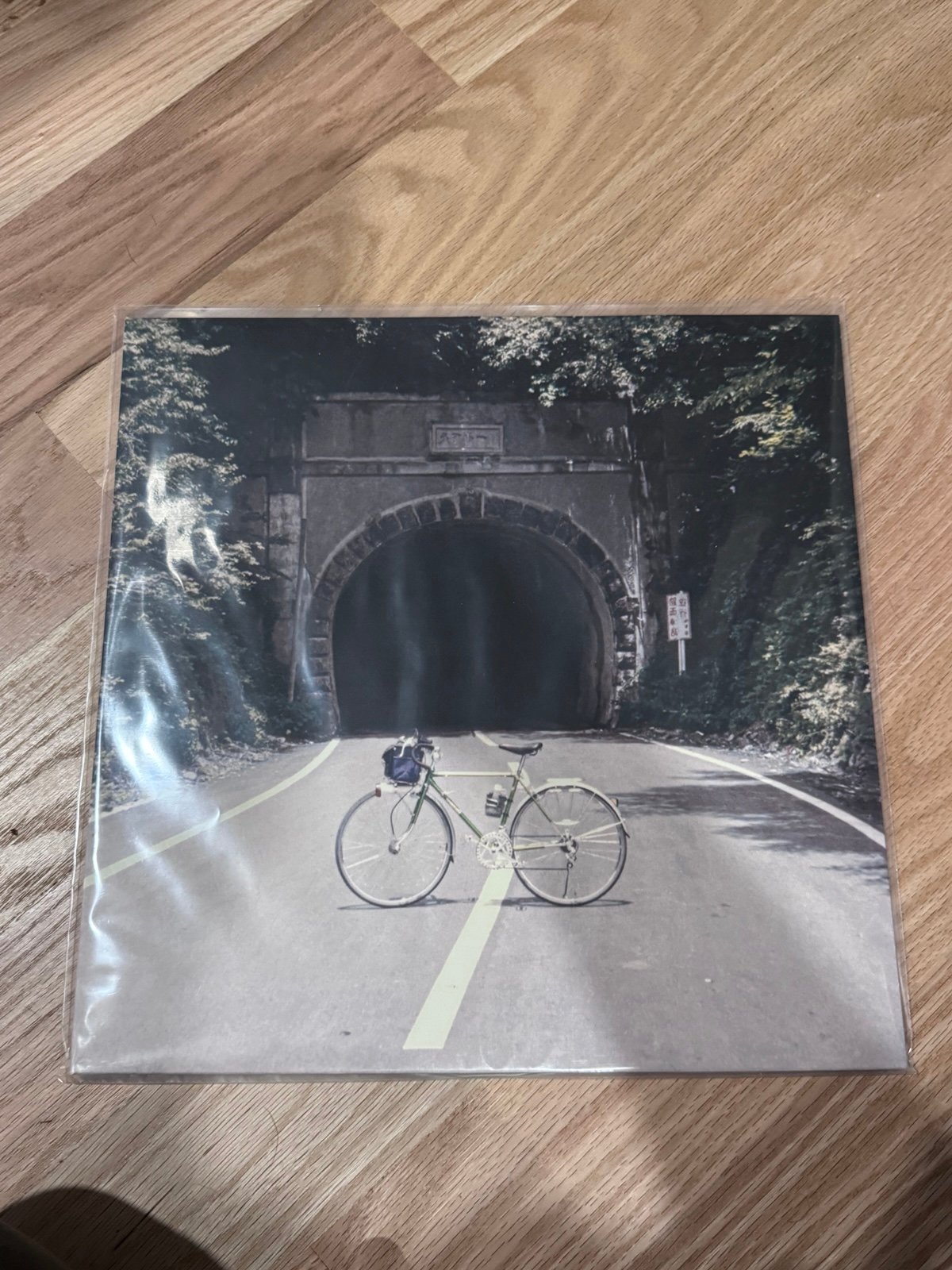 Backseat lovers vinyl