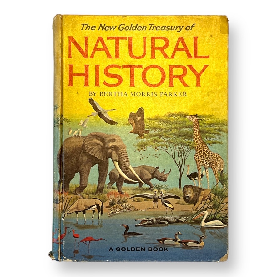 The New Golden Treasury of Natural History, Children's Picture Book, Vintage