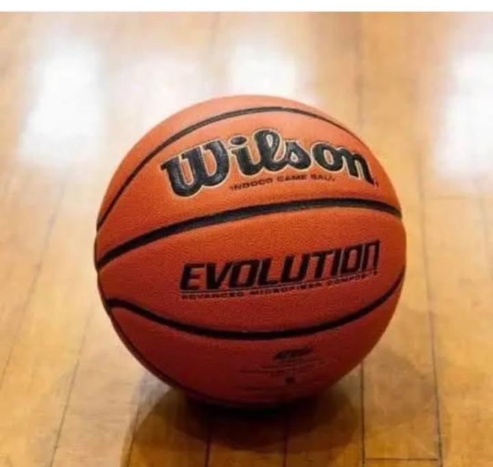NEW WILSON Men's Evolution Game Basketball (29.5") - Official Size & Weight