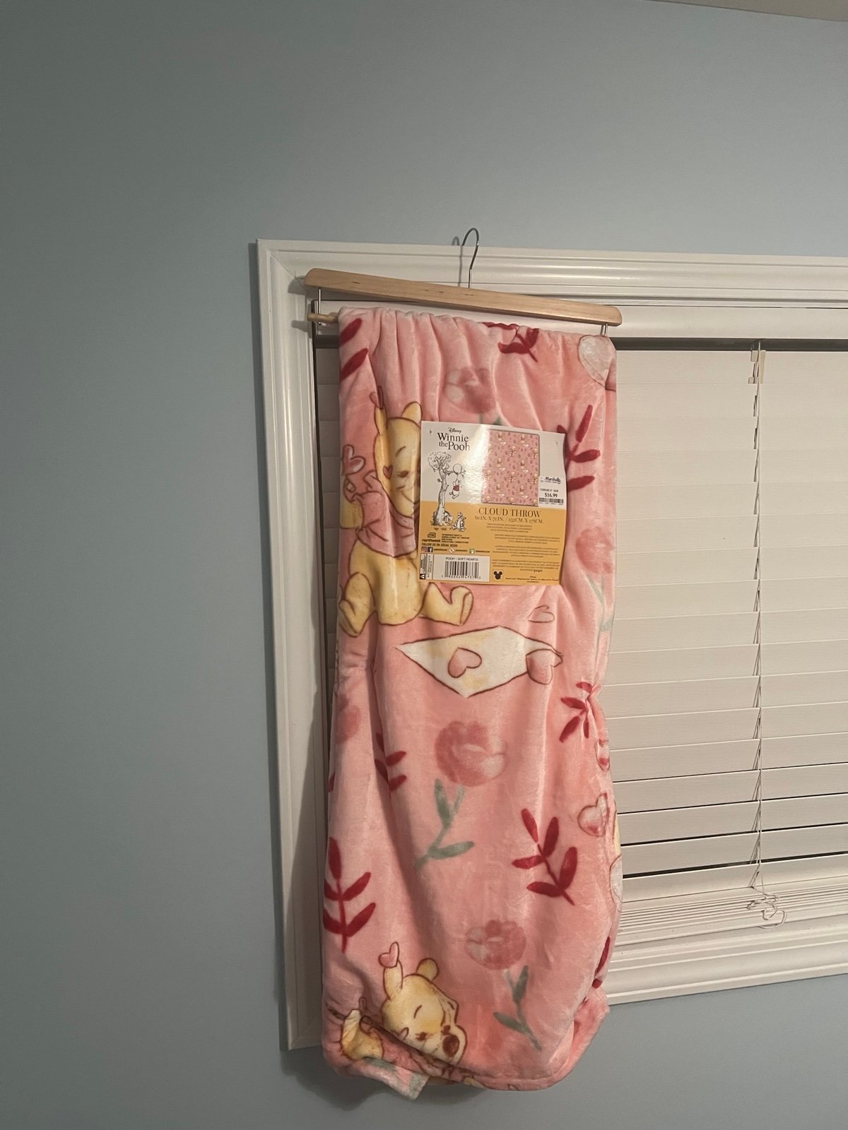 Viral Winnie the Pooh Valentine throw !