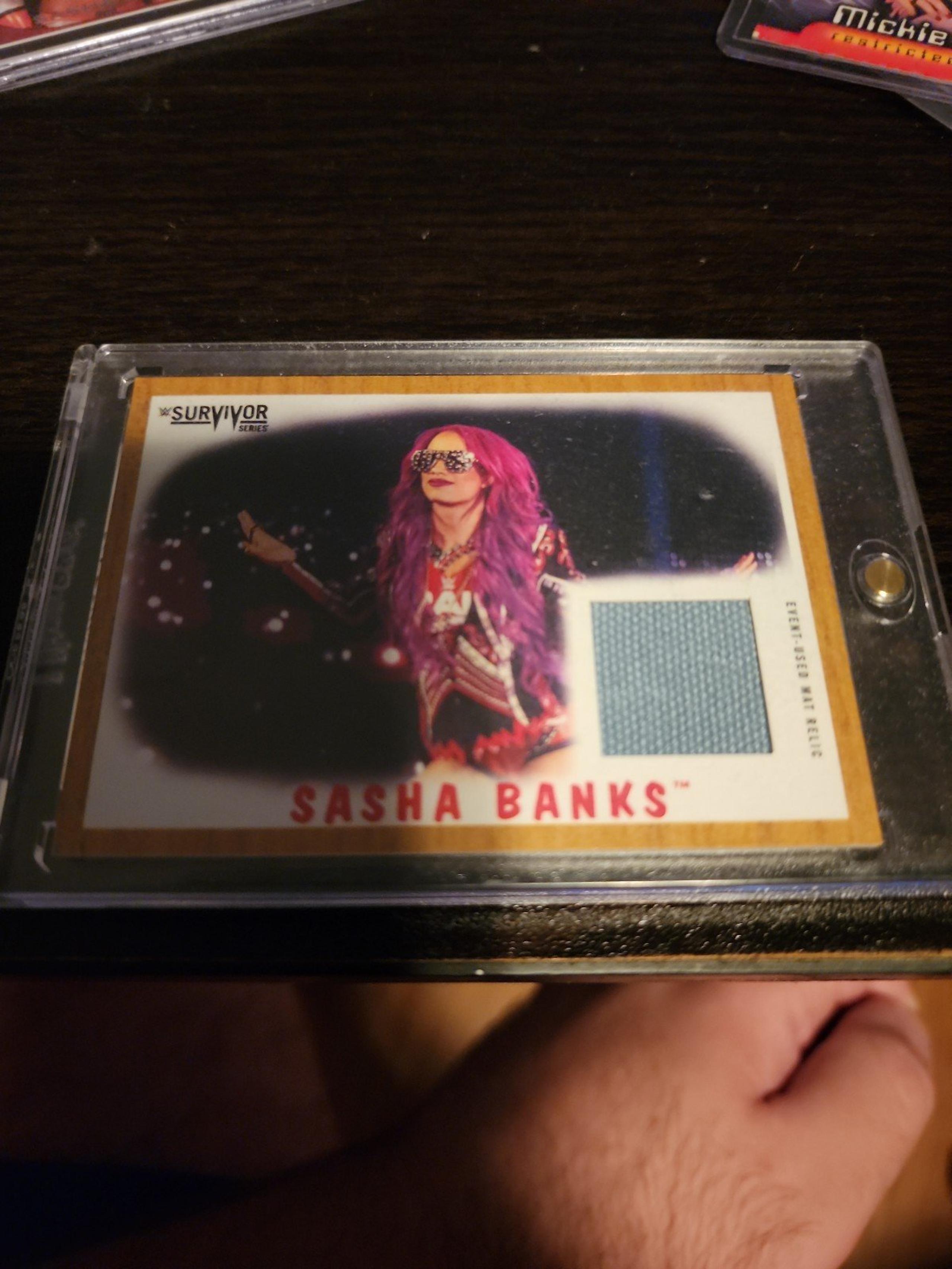 Sasha banks survivors