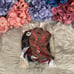 Sexy Red Lace Teddy with Black Lace Overlay Lingerie