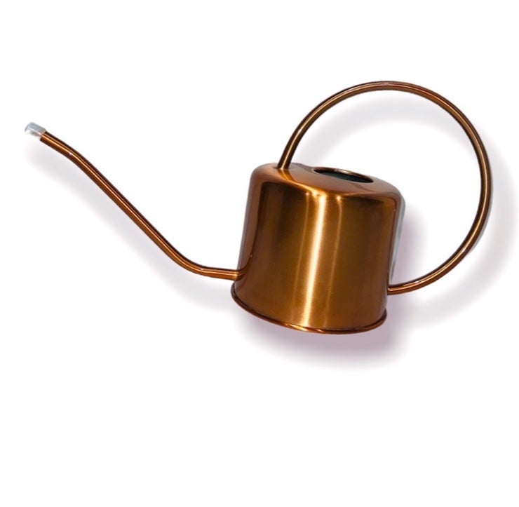 Copper Colored Watering Can Gooseneck Spout
