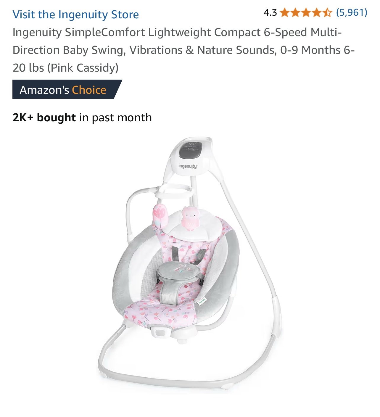 Ingenuity Baby Swing