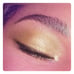 URBAN DECAY PRINCE YOU GOT THE LOOK LIMITED EDITION EYESHADOW PALETTE NEW
