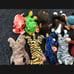 Rare and Discontinued Beanie Baby Lot (21) [Diana, Sweetheart, Kicks, Socks, Pr