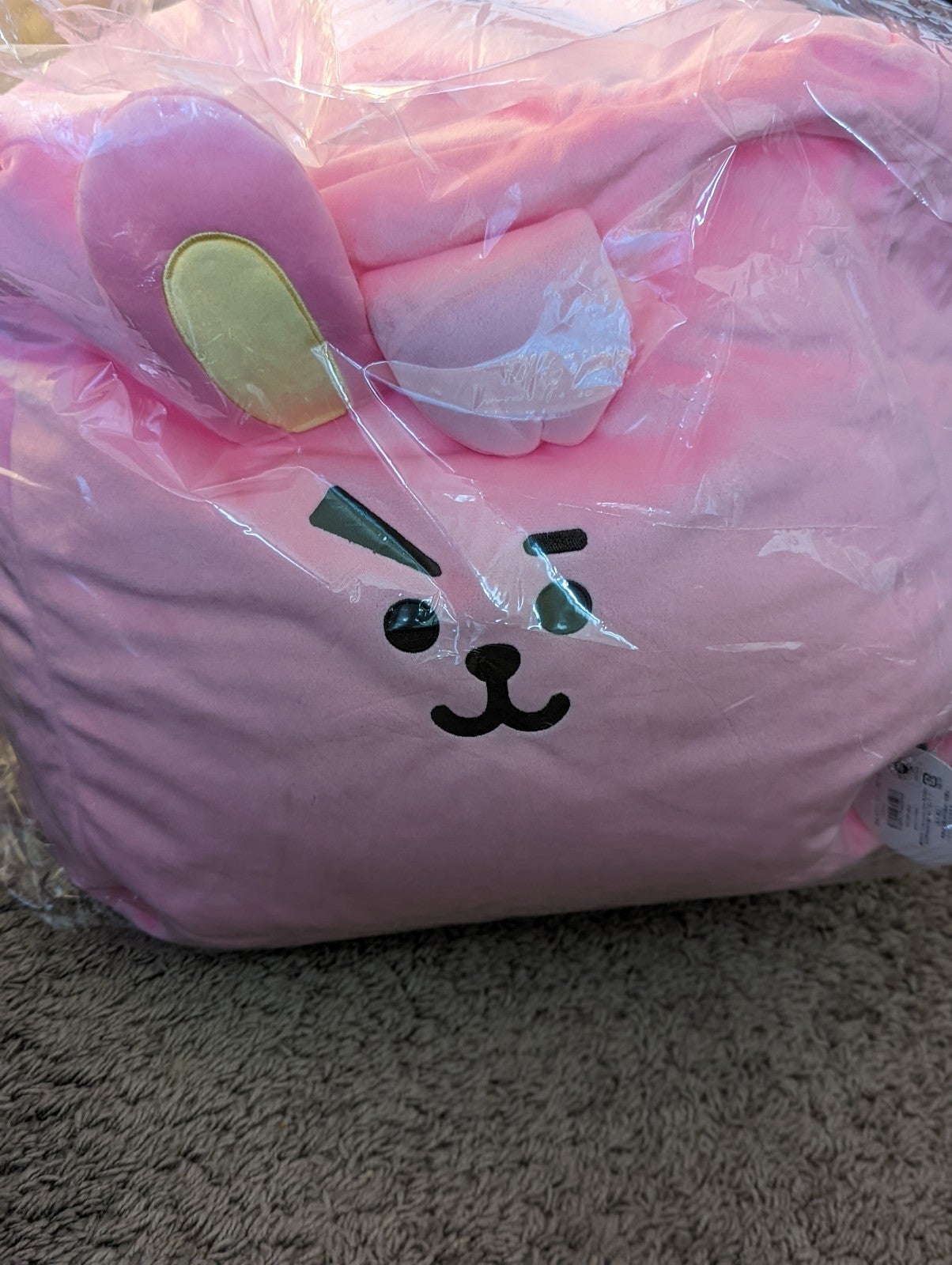 BT21 Bean Bag Cushion Cooky Stuffed Animals Plush