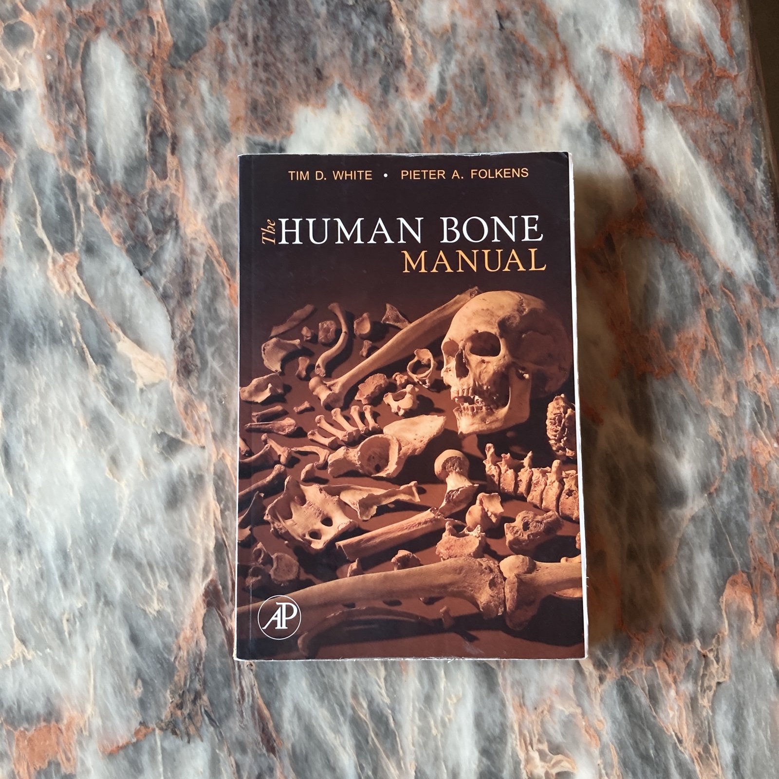 The Human Bone Manual paperback textbook